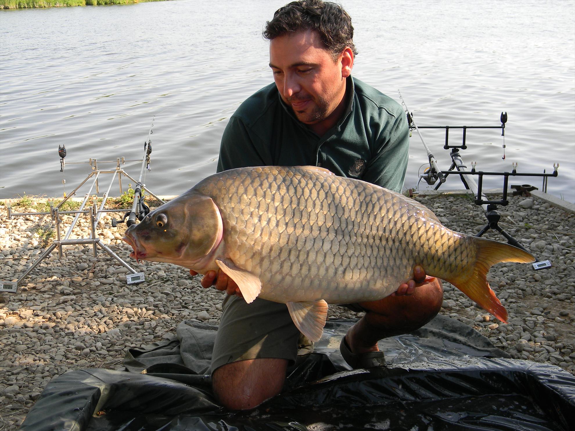 Capturi - dscn1085.jpg